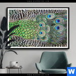 Poster Pfaufedern Querformat Produktvorschau mit dem Bild Pfaufedern im Format Querformat.