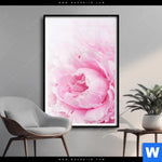 Poster Pfingstrose Hochformat Produktvorschau mit dem Bild Pfingstrose im Format Hochformat.