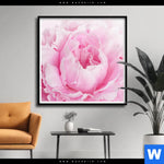 Poster Pfingstrose Quadrat Produktvorschau mit dem Bild Pfingstrose im Format Quadrat.