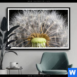 Poster Pusteblume No 10 Querformat Produktvorschau mit dem Bild Pusteblume No. 10 im Format Querformat.