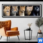 Poster Raubkatzen Panorama Produktvorschau mit dem Bild Raubkatzen im Format Panorama.
