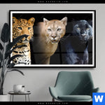 Poster Raubkatzen Querformat Produktvorschau mit dem Bild Raubkatzen im Format Querformat.