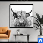 Poster Rind Im Hochland Quadrat Produktvorschau mit dem Bild Rind im Hochland im Format Quadrat.