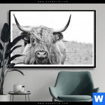 Poster Rind Im Hochland Querformat Produktvorschau mit dem Bild Rind im Hochland im Format Querformat.