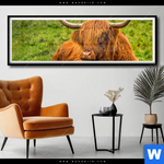 Poster Rind In Den Schottischen Highlands Panorama Produktvorschau mit dem Bild Rind in den schottischen Highlands im Format Panorama.