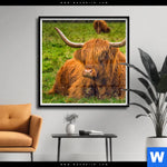 Poster Rind In Den Schottischen Highlands Quadrat Produktvorschau mit dem Bild Rind in den schottischen Highlands im Format Quadrat.