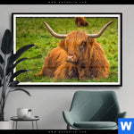 Poster Rind In Den Schottischen Highlands Querformat Produktvorschau mit dem Bild Rind in den schottischen Highlands im Format Querformat.