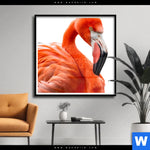 Poster Rosa Flamingo Quadrat Produktvorschau mit dem Bild Rosa Flamingo im Format Quadrat.