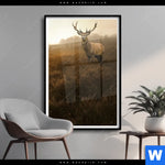 Poster Rothirsch Im Nebel Hochformat Produktvorschau mit dem Bild Rothirsch im Nebel im Format Hochformat.