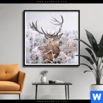 Poster Rothirsch Im Winter Quadrat Produktvorschau mit dem Bild Rothirsch im Winter im Format Quadrat.