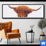 Poster Schottisches Hochlandrind Panorama Produktvorschau mit dem Bild Schottisches Hochlandrind im Format Panorama.