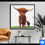 Poster Schottisches Hochlandrind Quadrat Produktvorschau mit dem Bild Schottisches Hochlandrind im Format Quadrat.
