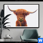Poster Schottisches Hochlandrind Querformat Produktvorschau mit dem Bild Schottisches Hochlandrind im Format Querformat.