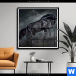 Poster Schwarzer Hengst Quadrat Produktvorschau mit dem Bild Schwarzer Hengst im Format Quadrat.
