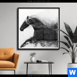 Poster Schwarzes Pferd Voller Energie Quadrat Produktvorschau mit dem Bild Schwarzes Pferd voller Energie im Format Quadrat.