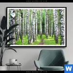 Poster Sommerbirken Querformat Produktvorschau mit dem Bild Sommerbirken im Format Querformat.