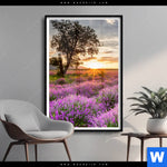 Poster Sonnenaufgang Im Lavendelfeld Hochformat Produktvorschau mit dem Bild Sonnenaufgang im Lavendelfeld im Format Hochformat.