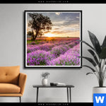 Poster Sonnenaufgang Im Lavendelfeld Quadrat Produktvorschau mit dem Bild Sonnenaufgang im Lavendelfeld im Format Quadrat.