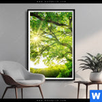Poster Sonnendurchfluteter Baum Hochformat Produktvorschau mit dem Bild Sonnendurchfluteter Baum im Format Hochformat.