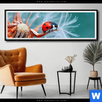 Poster Sonnenkaefer Auf Pusteblume Panorama Produktvorschau mit dem Bild Sonnenkäfer auf Pusteblume im Format Panorama.