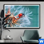 Poster Sonnenkaefer Auf Pusteblume Querformat Produktvorschau mit dem Bild Sonnenkäfer auf Pusteblume im Format Querformat.