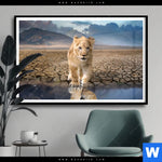 Poster Spiegelbild Loewe Loewenjunges Querformat Produktvorschau mit dem Bild Spiegelbild Löwe & Löwenjunges im Format Querformat.