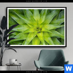 Poster Spitze Agavenblaetter Querformat Produktvorschau mit dem Bild Spitze Agavenblätter im Format Querformat.