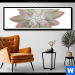 Poster Sukkulente No 1 Panorama Produktvorschau mit dem Bild Sukkulente No.1 im Format Panorama.