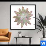 Poster Sukkulente No 1 Quadrat Produktvorschau mit dem Bild Sukkulente No.1 im Format Quadrat.