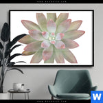 Poster Sukkulente No 1 Querformat Produktvorschau mit dem Bild Sukkulente No.1 im Format Querformat.