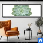 Poster Sukkulente No 2 Panorama Produktvorschau mit dem Bild Sukkulente No.2 im Format Panorama.