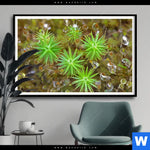 Poster Tautropfen Auf Moos Querformat Produktvorschau mit dem Bild Tautropfen auf Moos im Format Querformat.