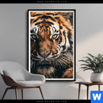 Poster Tiger Im Wasser Hochformat Produktvorschau mit dem Bild Tiger im Wasser im Format Hochformat.