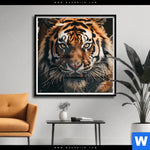 Poster Tiger Im Wasser Quadrat Produktvorschau mit dem Bild Tiger im Wasser im Format Quadrat.