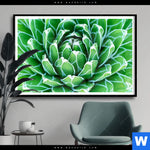 Poster Tropische Pflanze Querformat Produktvorschau mit dem Bild Tropische Pflanze im Format Querformat.