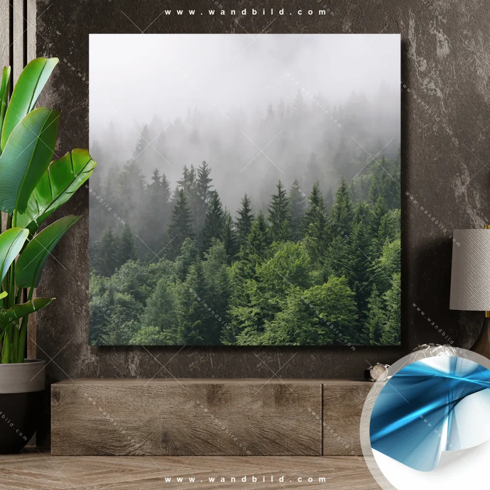 Poster von wandbild.com - Wald im Nebel - Quadrat