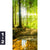 Poster Wald Mit Sonnenstrahlen Hochformat Motivorschau Seitenverhaeltnis 1 2