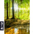 Poster Wald Mit Sonnenstrahlen Hochformat Motivorschau Seitenverhaeltnis 3 4