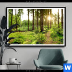 Poster Wald Mit Sonnenstrahlen No 2 Querformat Produktvorschau mit dem Bild Wald mit Sonnenstrahlen No.2 im Format Querformat.