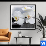 Poster Weisse Orchideen Quadrat Produktvorschau mit dem Bild Weiße Orchideen im Format Quadrat.