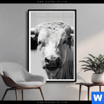 Poster Weisser Bulle Hochformat Produktvorschau mit dem Bild Weisser Bulle im Format Hochformat.