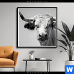 Poster Weisser Bulle Quadrat Produktvorschau mit dem Bild Weisser Bulle im Format Quadrat.