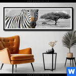 Poster Zebra In Afrika Panorama Produktvorschau mit dem Bild Zebra in Afrika im Format Panorama.