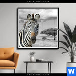 Poster Zebra In Afrika Quadrat Produktvorschau mit dem Bild Zebra in Afrika im Format Quadrat.