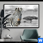 Poster Zebra In Afrika Querformat Produktvorschau mit dem Bild Zebra in Afrika im Format Querformat.