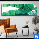 Spannbild Bananenpalme Panorama Produktvorschau mit dem Bild Bananenpalme im Format Panorama.