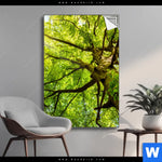 Spannbild Baumkrone Einer Buche Hochformat Produktvorschau mit dem Bild Baumkrone einer Buche im Format Hochformat.