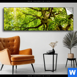 Spannbild Baumkrone Einer Buche Panorama Produktvorschau mit dem Bild Baumkrone einer Buche im Format Panorama.