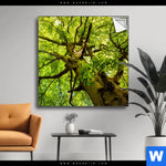 Spannbild Baumkrone Einer Buche Quadrat Produktvorschau mit dem Bild Baumkrone einer Buche im Format Quadrat.