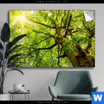 Spannbild Baumkrone Einer Buche Querformat Produktvorschau mit dem Bild Baumkrone einer Buche im Format Querformat.